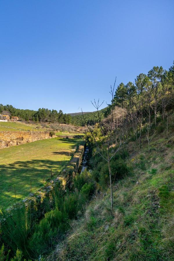 Aradas, Pampilhosa Da Serra, Casa Da Oliveira, Wifi, Ar Condicionado, Churrasqueira, Parqueamento, By Ig Unhais-o-Velho Dış mekan fotoğraf